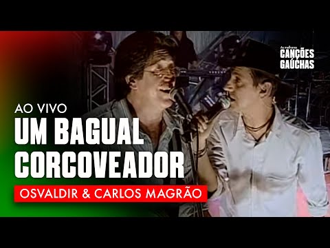 UM BAGUAL CORCOVEADOR - OSVALDIR & CARLOS MAGRÃO (AO VIVO - O SHOW DO SUL)