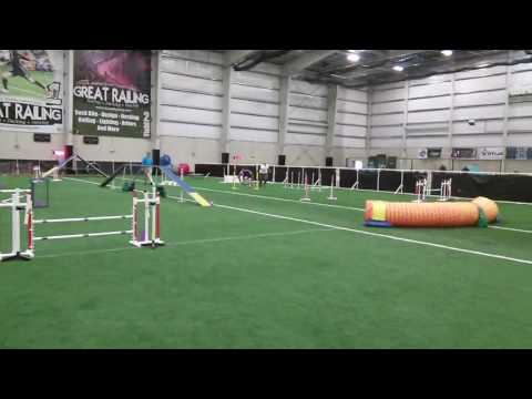 2016 10 08 Disney standard debut