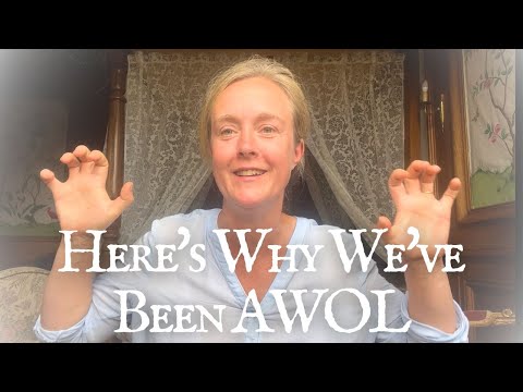 We’re still here! Don’t worry! Here’s what’s been going on…