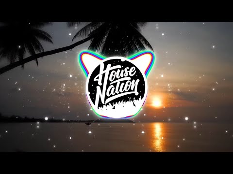 House Nation Presents: Dirtybird Deep Cutz Mix (Mixed by Steve Darko)