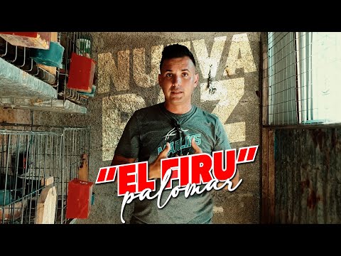 EL FIRU'S PALOCO in NUEVA PAZ