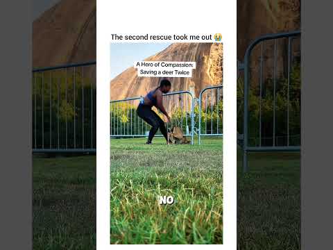 I laughed so loud when she jumped over the railing and the deer ran off 😭