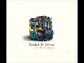 Guided By Voices - Dragons Awake!