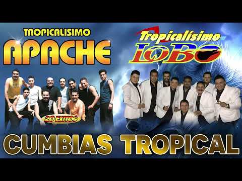 ''Tropicalisimo Apache'' Y ''Tropicalisimo Lobo'' Exitos ⭐ Cumbias Para Bailar Toda La Noche