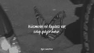 Sarılırım Birine - Adamlar /speed up and lyrics