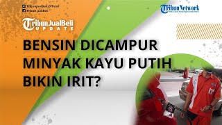 Diisukan BBM Pertalite Naik, Benarkah Bensin Dicampur Minyak Kayu Putih Bikin Irit Kendaraan?