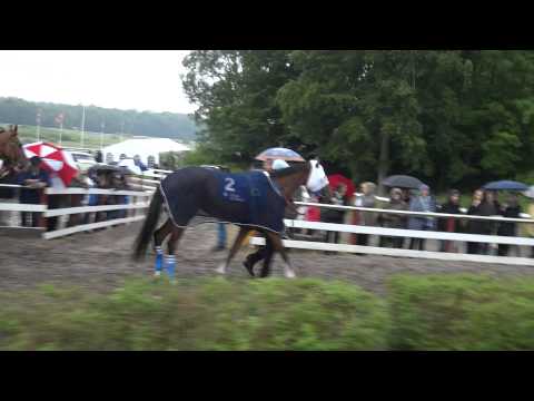 GALOPPSPELAREN - Ledvolten innan Danskt Derby 2012 nr 2