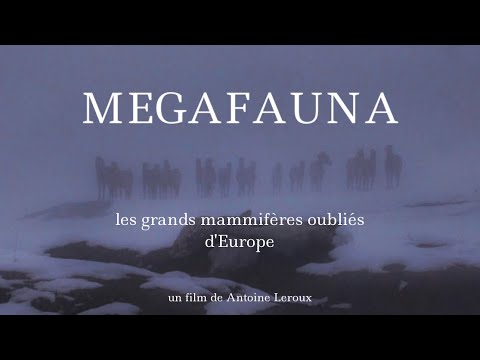 MEGAFAUNA - Les grands mammifères oubliés d'Europe (documentaire animalier - 2024)