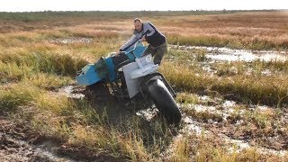 Ссылка