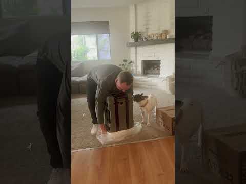 Pelican ATX 22 Unboxing #pelican #travel #luggage #carryon #europe #hawaii #gear