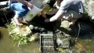 preview picture of video 'Gold Prospecting Near Bagby'