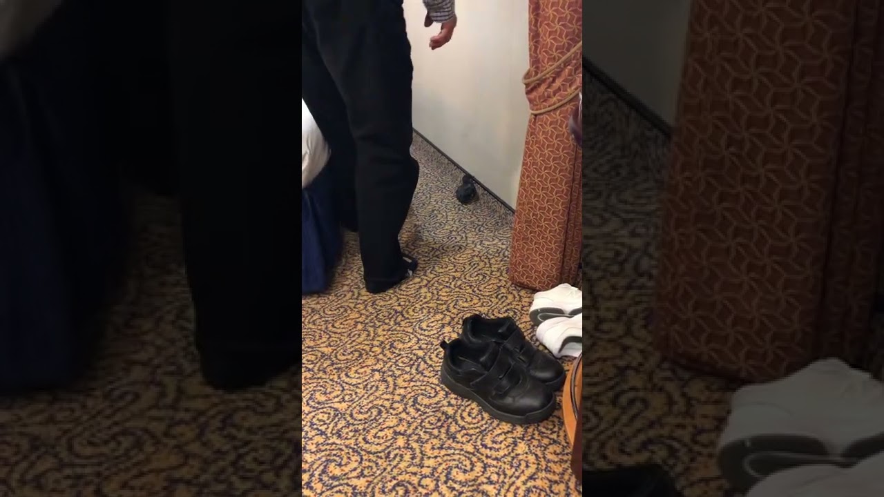 Serenade of the Seas - Cabin 7674 - Video 2