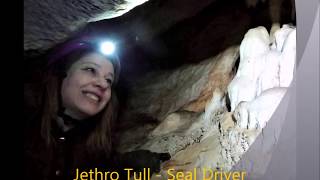 JETHRO TULL - Seal Driver