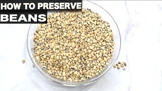 How to preserve and protect beans from weevils