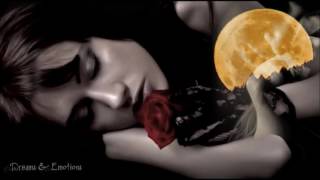 Steen Thøttrup ~ If You Were Here Tonight