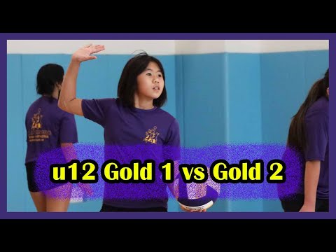 u12 "Gold 1" vs. "Gold 2"  AAA Tournament 3-12-22