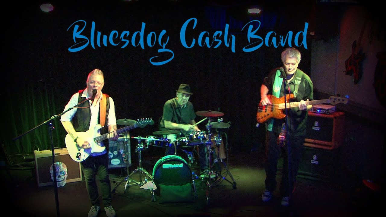Promotional video thumbnail 1 for Bluesdog Cash Band 