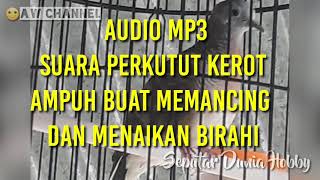 Download lagu #Perkututbirahi#TerapiAmpuh Suara Kerot Perkutut Sangat Ampuh Memancing Sekaligus Menaikan Birahi mp3 Download lagu #Perkututbirahi#TerapiAmpuh Suara Kerot Perkutut Sangat Ampuh Memancing Sekaligus Menaikan Birahi mp3