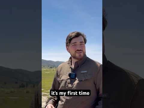 Vacas Bolivia #quechua #indigenous #culture near #cochabamba