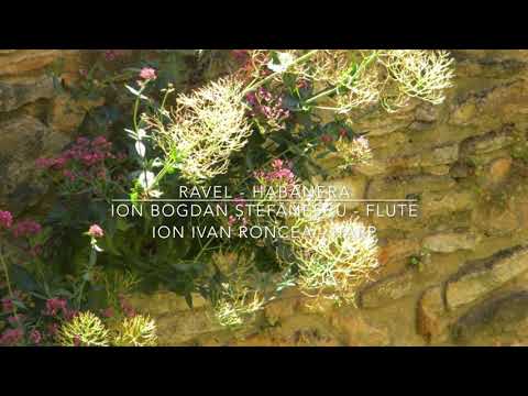 @ionbogdanstefanescu  Ravel - Habanera