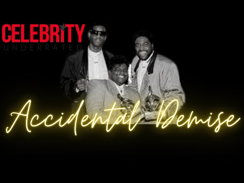 Accidental Demise - The Gerald and Sean LeVert Story