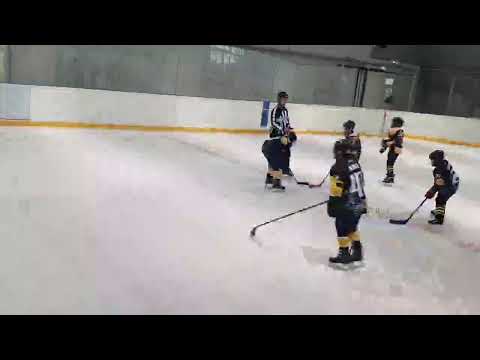 2021 02 27 VSD OHA - Jégoroszlánok