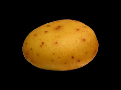 Terrorist gets a suprise from behind