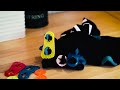 Sock Sorters Pack of 10