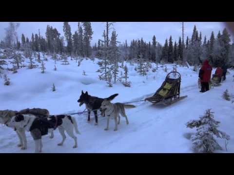 Hundeschlittentour 2012