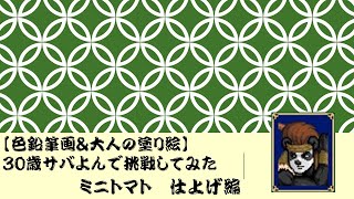 【大人の塗り絵】30歳サバ読んで挑戦してみた6
