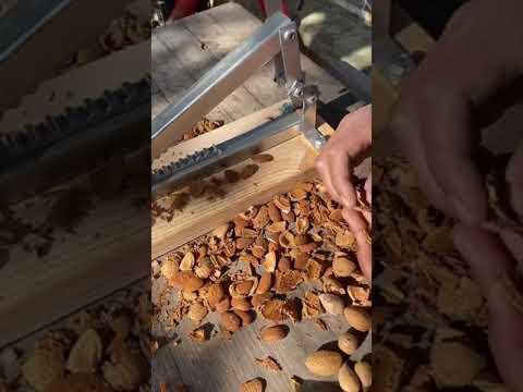 TAŞ BADEM KIRMA - Kadıoğlu C1 Kırma Aleti