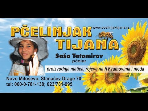 Saša Tatomirov - Online Predavanje: "Moj način rada na profesionalnom pčelinjaku" - 07.11.2018.