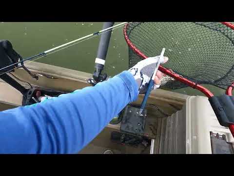 Robert's 1st Hybrid Striper on Lake Waco 12 14 24