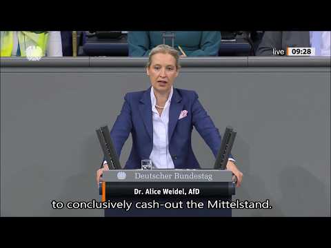 Alice Weidel, January 29, 2026, Merz Government