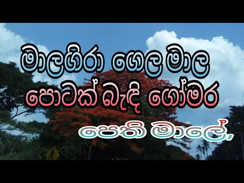 මාලගිරා ගෙල මාල පොටක් බැඳි ගෝමර පෙති මාලේ. mala gira gela mala potak bedi gomara pethi male.