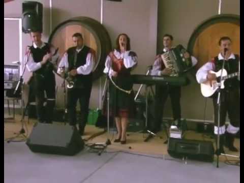 Ansambel Svetlin in Australia 2004 - Lepo je biti muzikant & Slovenija odkod lepote tvoje