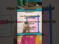 Sony Wonder Sesame Workshop 2000