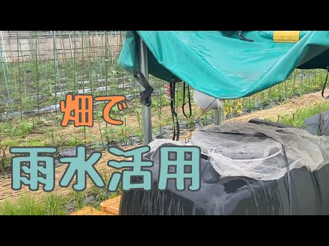 雨水コレクターバルコニー側溝DIY