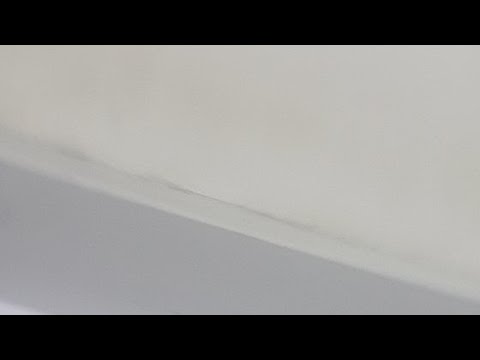 Club Voleibol Palestra- Valle Hebron