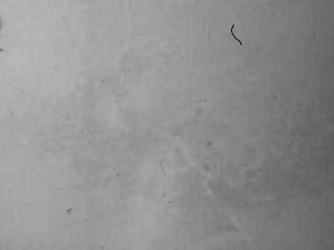 Gun camera footage - (2022 3 34)