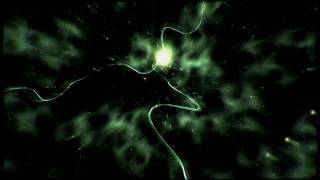 Conspiracy - Chaos Theory