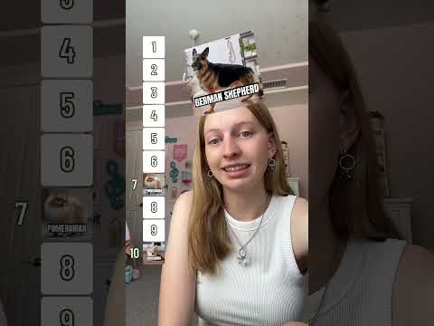 Rating Dog Breeds || 18 Days of Alyssa