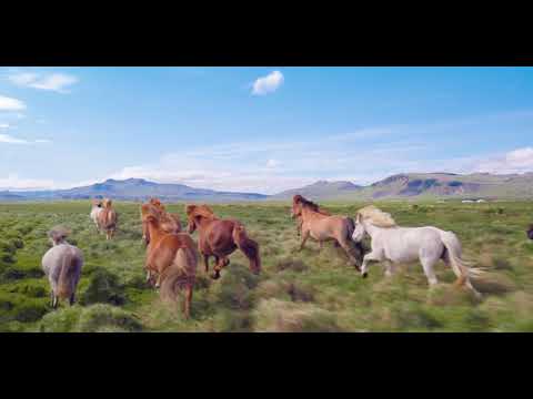 Nature Of The God😍