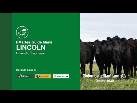 2026.05.26 - Lincoln, Buenos Aires