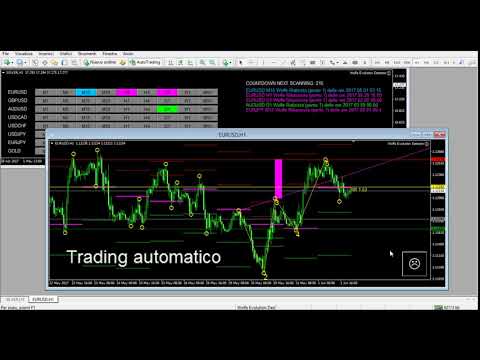Video Wolfe Detector Indicator