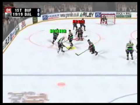 Actua Ice Hockey Playstation