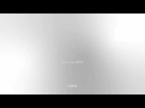 Laikike1 x Szops ''Lotos''