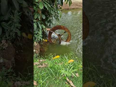 Roda d'água. - Serrana  -São. Paulo