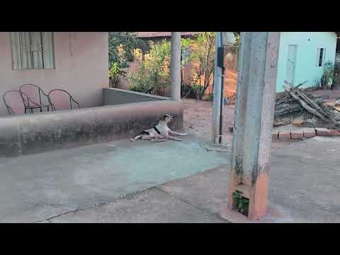 Juverlandia, município de Sítio Novo do Tocantins 