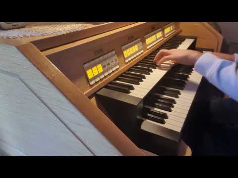 Groß sein lässt meine Seele den Herrn  (Orgel, Organ)